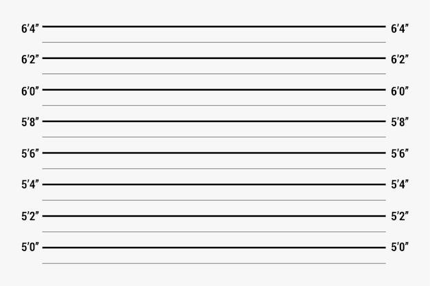 summit county jail roster pdf